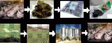 Переработка куриного помета способы и методы