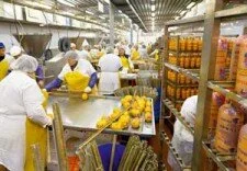 Технология производства вареной колбасы