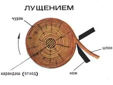 Основные этапы производства фанеры