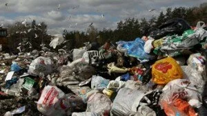 Что дает современная технология переработки и утилизации