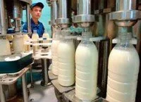 Переработка молочных продуктов и молока